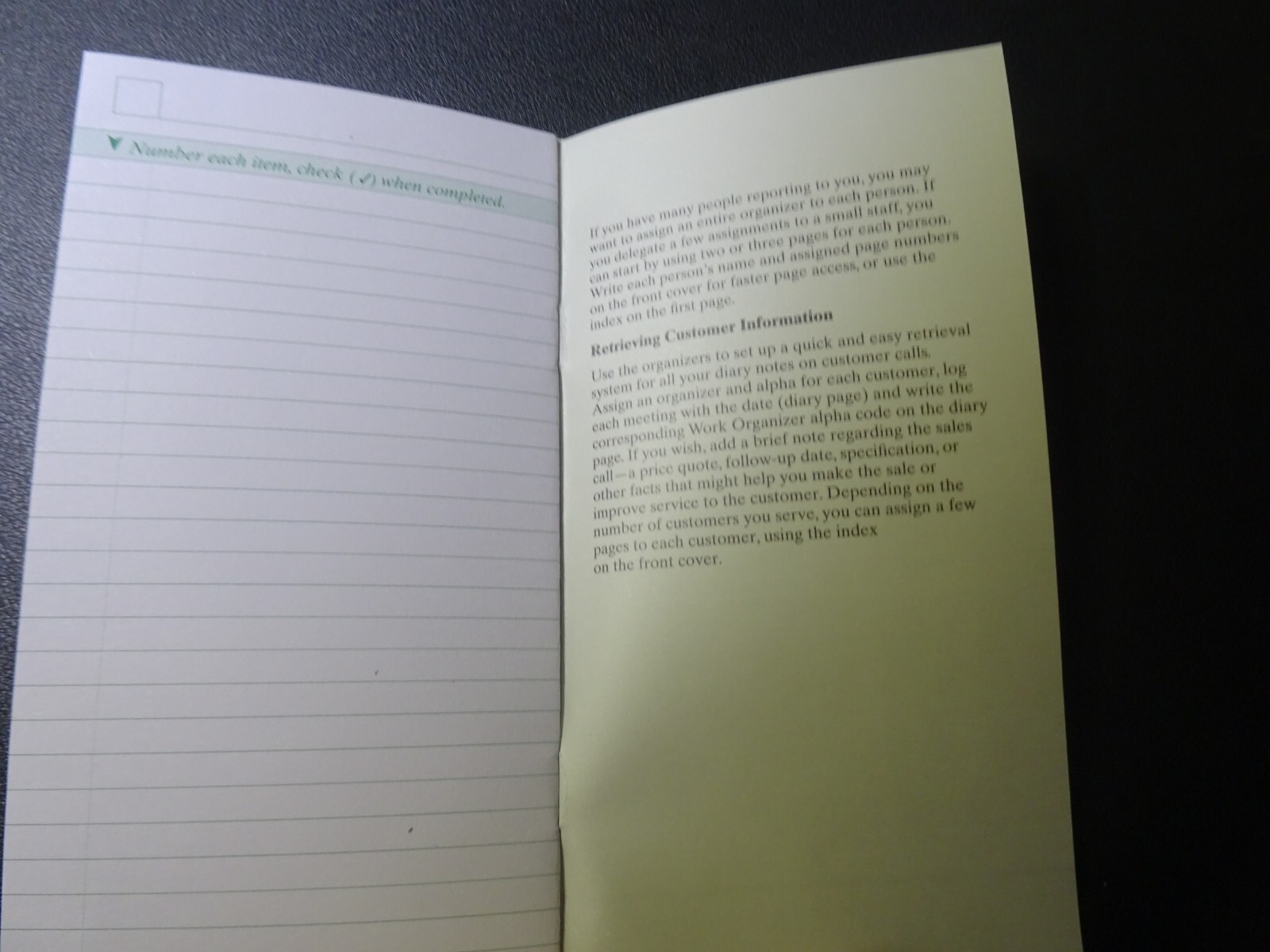 Day-Timer Pocket Work Organizer + Instructions, Stapled, 3 1/2″ x 6″, #48800