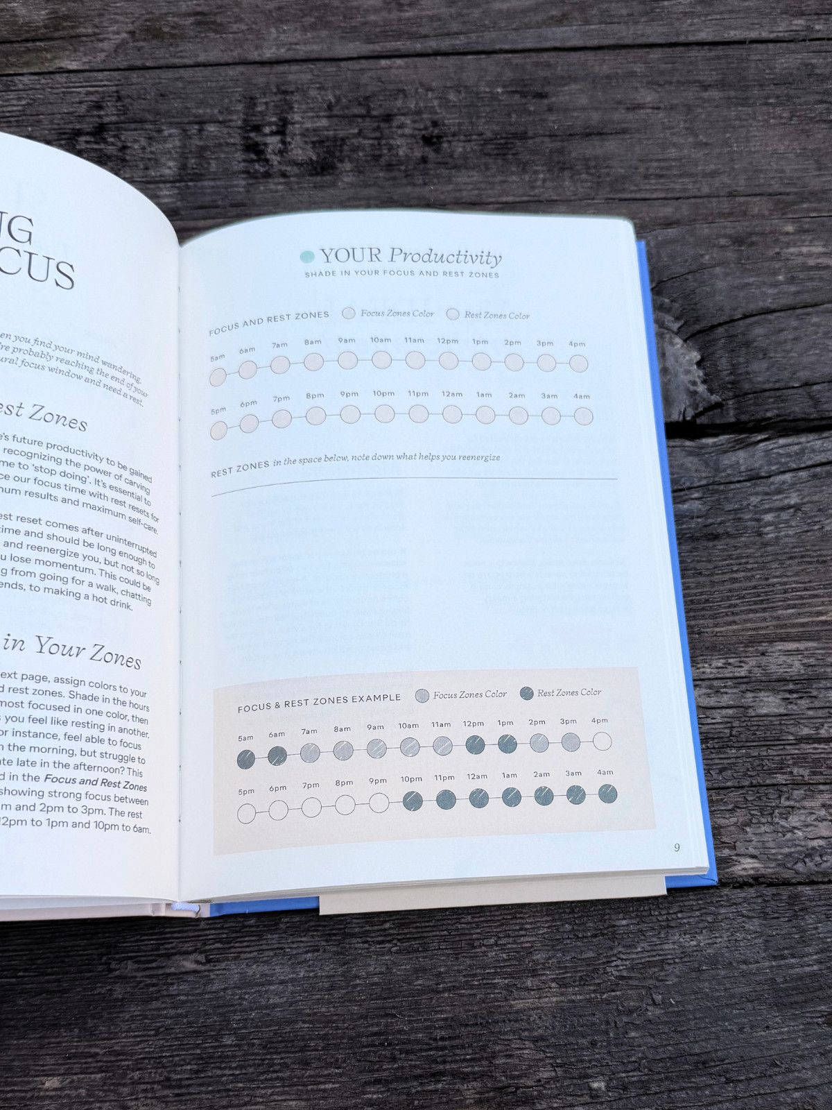 NEW Blue & Cream Papier “Start Fresh Everyday” 16 Week Productivity Planner