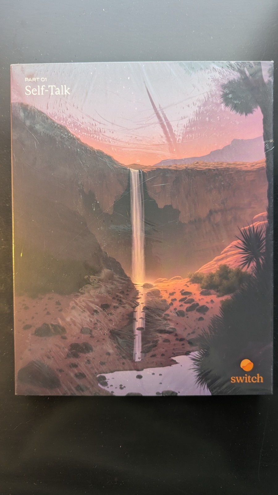 SWITCH Research – Set Of 3 SELF TALK Journals – brand new, no flaws