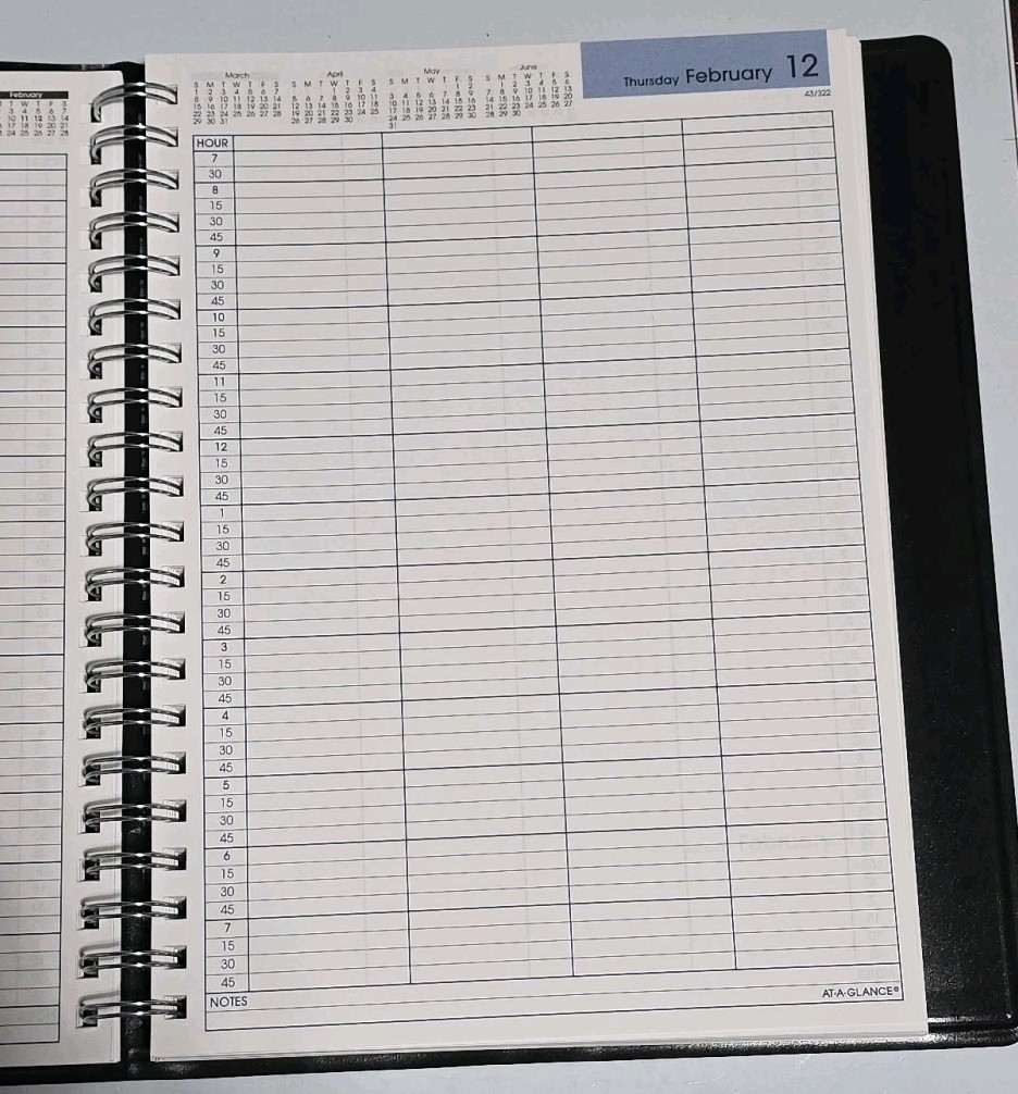 2026 At-A-Glance DayMinder G560-00 4-Person Daily Appointment Book 8 “