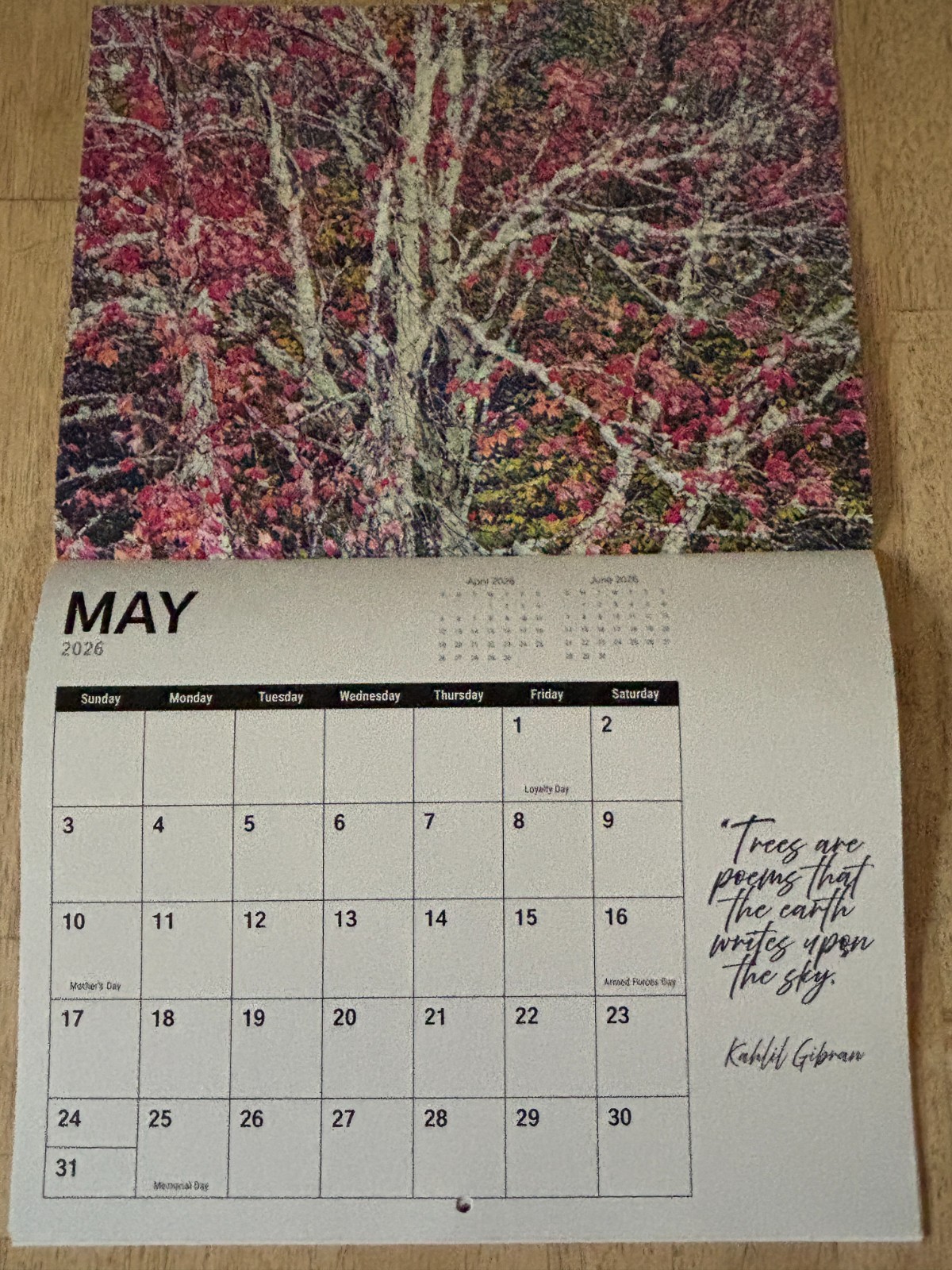 Tree Chronicles – 2026- 12-Month Wall Calendar – Great Tree Photography!