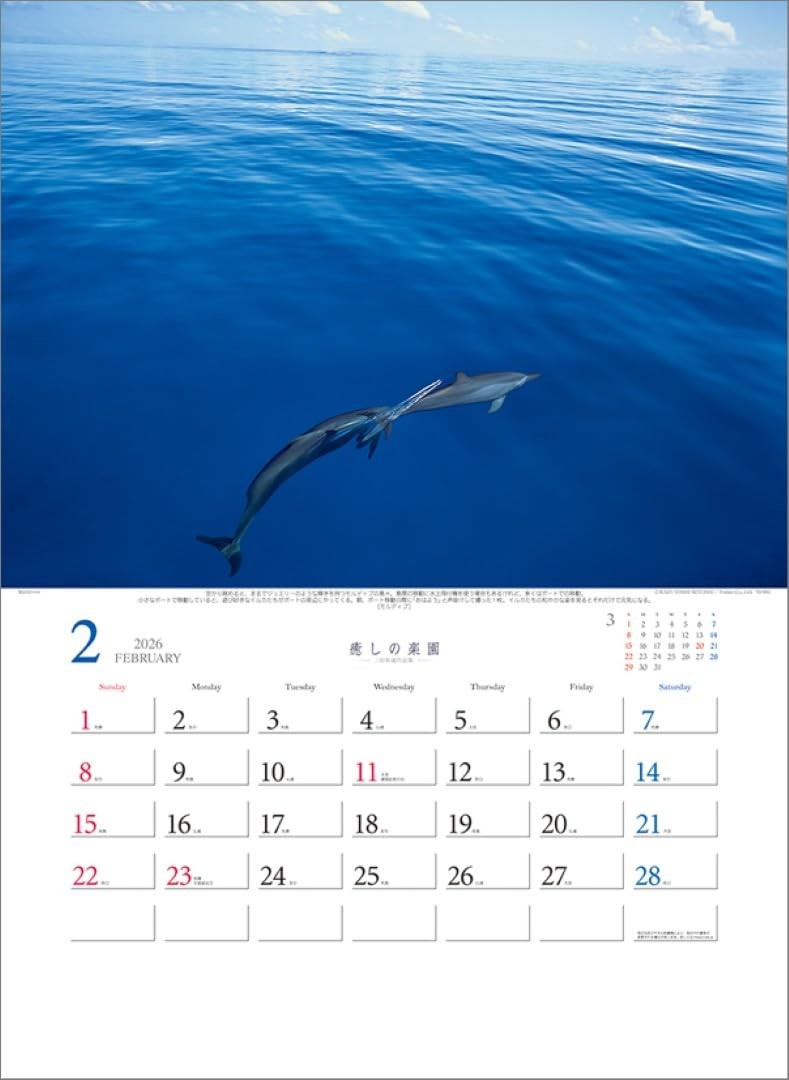 Healing Paradise – Kazuyoshi Miyoshi Works Collection – TD-30653 2026 Wall Calen