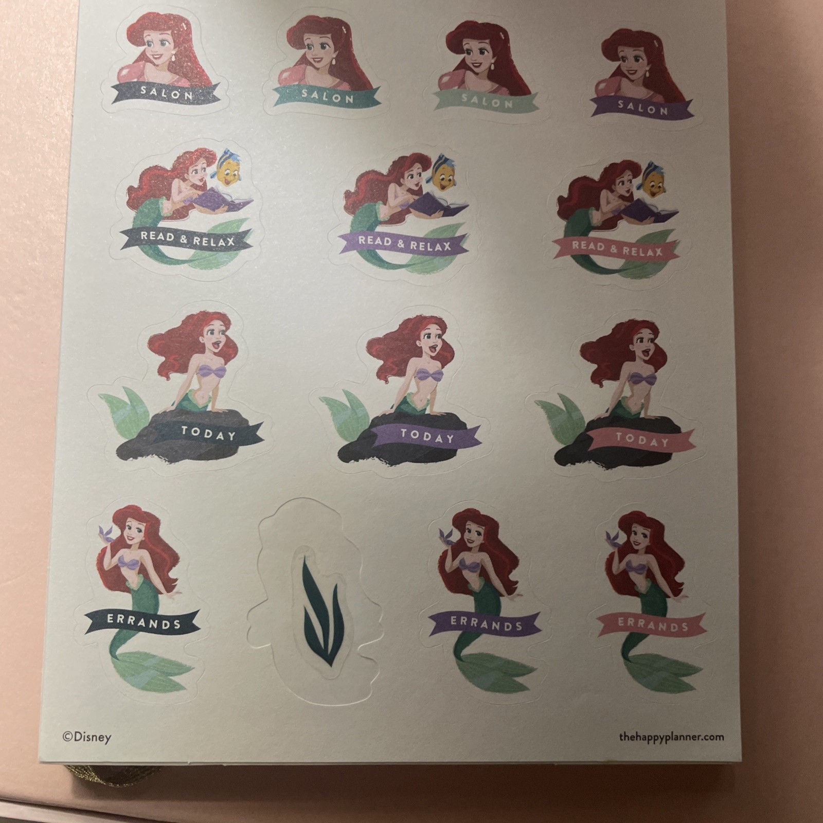 Disney Princess The Happy Planner Mini Sticker Sheets 1318 Stickers ©2020