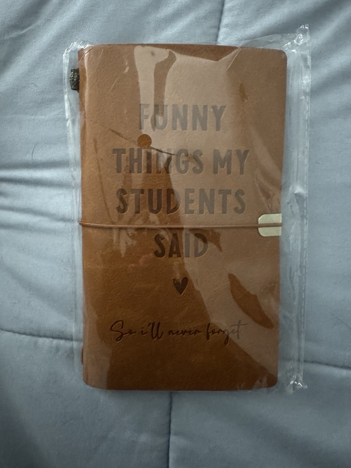 Funny Things My Students Say: Blank Lined Journal Notebook for Teachers