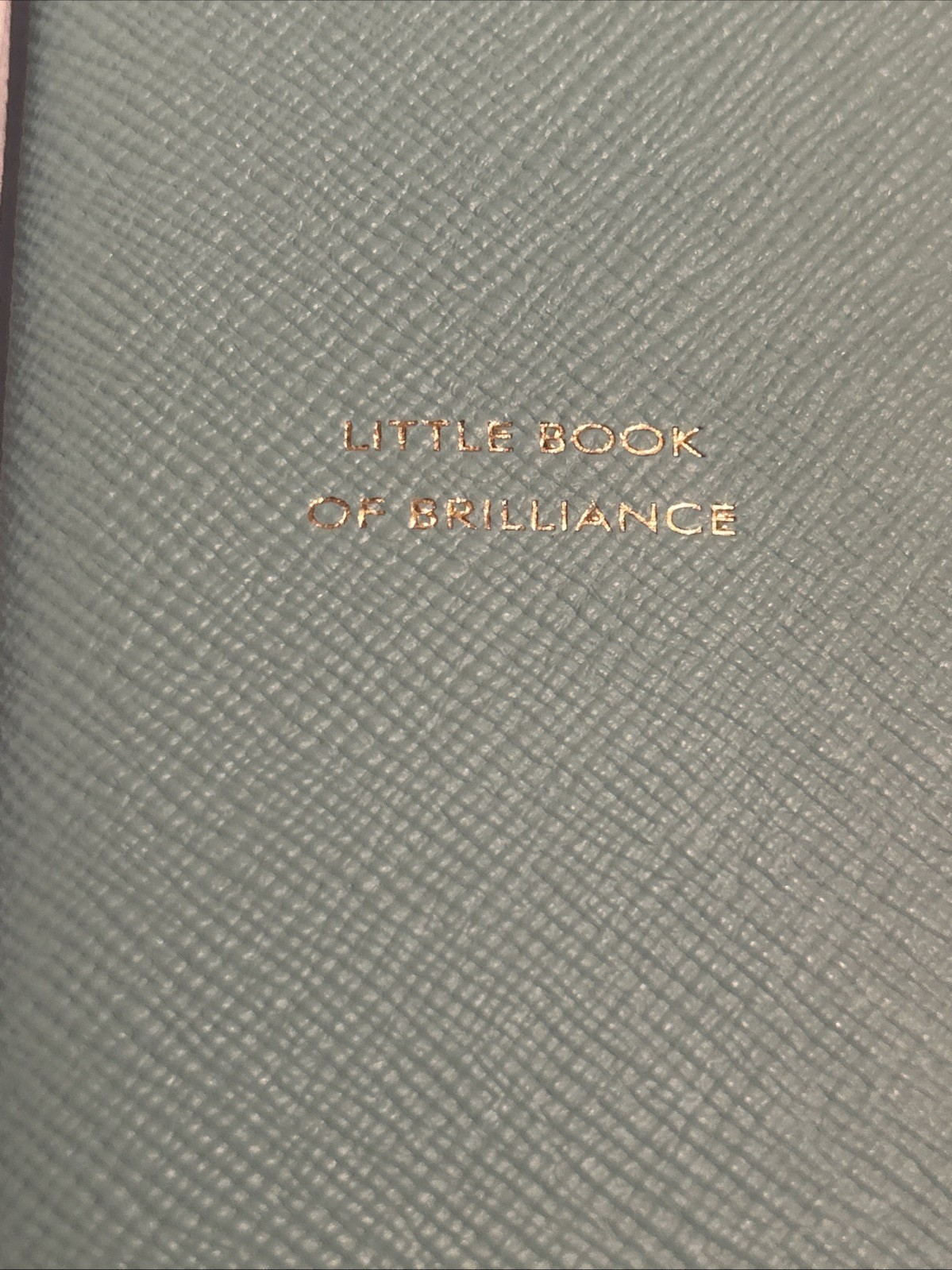 Smythson leather journal “Little Book of Brilliance.” Brand new.