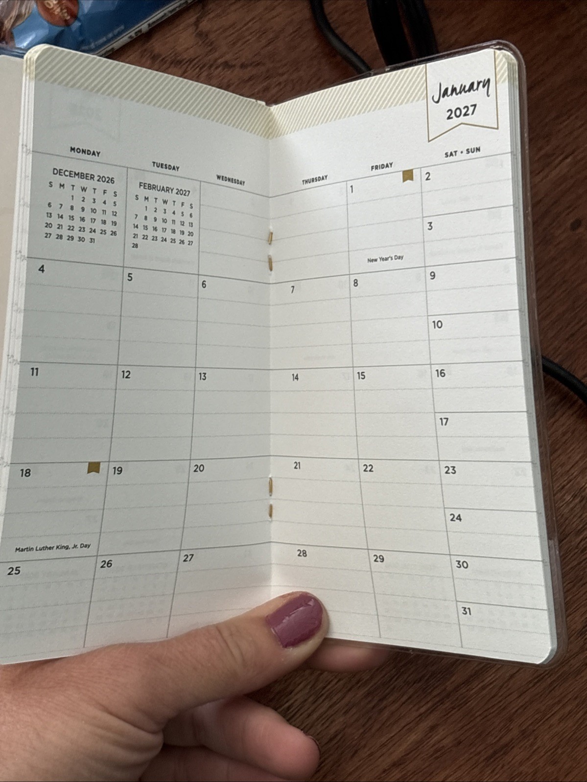 Blue Sky 2026 2027 Pocket Calendar Floral Checkbook Planner Mini NEW