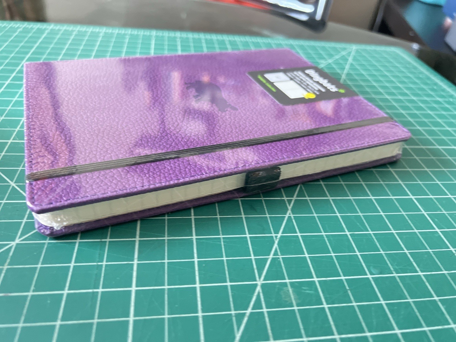 NEW – Dingbats notebook – Purple With Hippo – Lined
