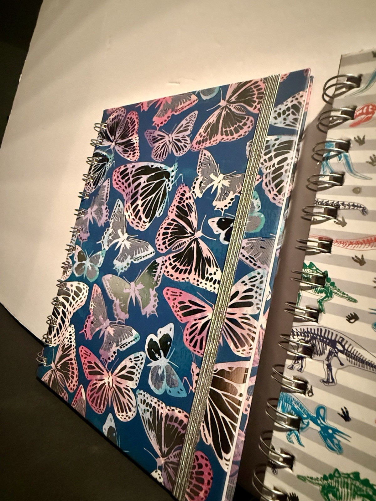 Set of 2 Spiral Journals Butterfly & Dinosaur Lined Notebooks Elastic Band New