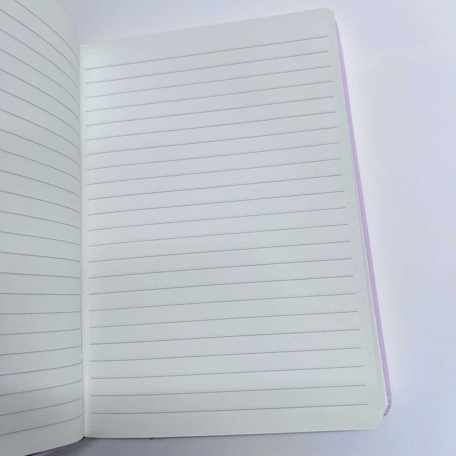 Eccolo Medium Lined Journal – Gold Stitched Botanical Journal (5.75×8.25 inches)