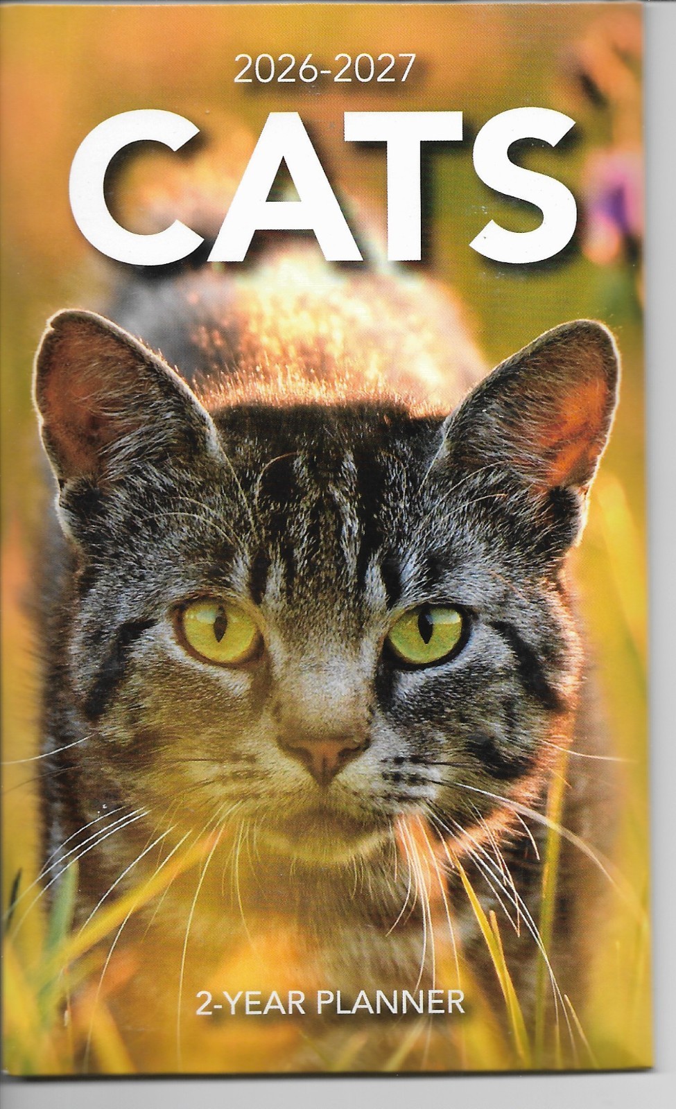 Pocket Calendar 2026-2027 Two Year Monthly Planner 3.5 x 6.5″ CATS