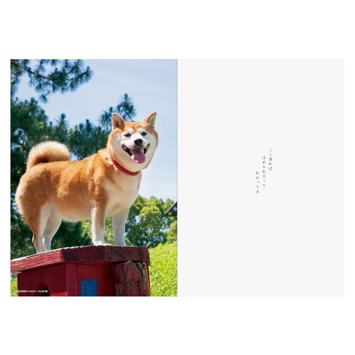 Art Print Japan 2026 Planner B6 Monthly Diary/Dog Senryu
