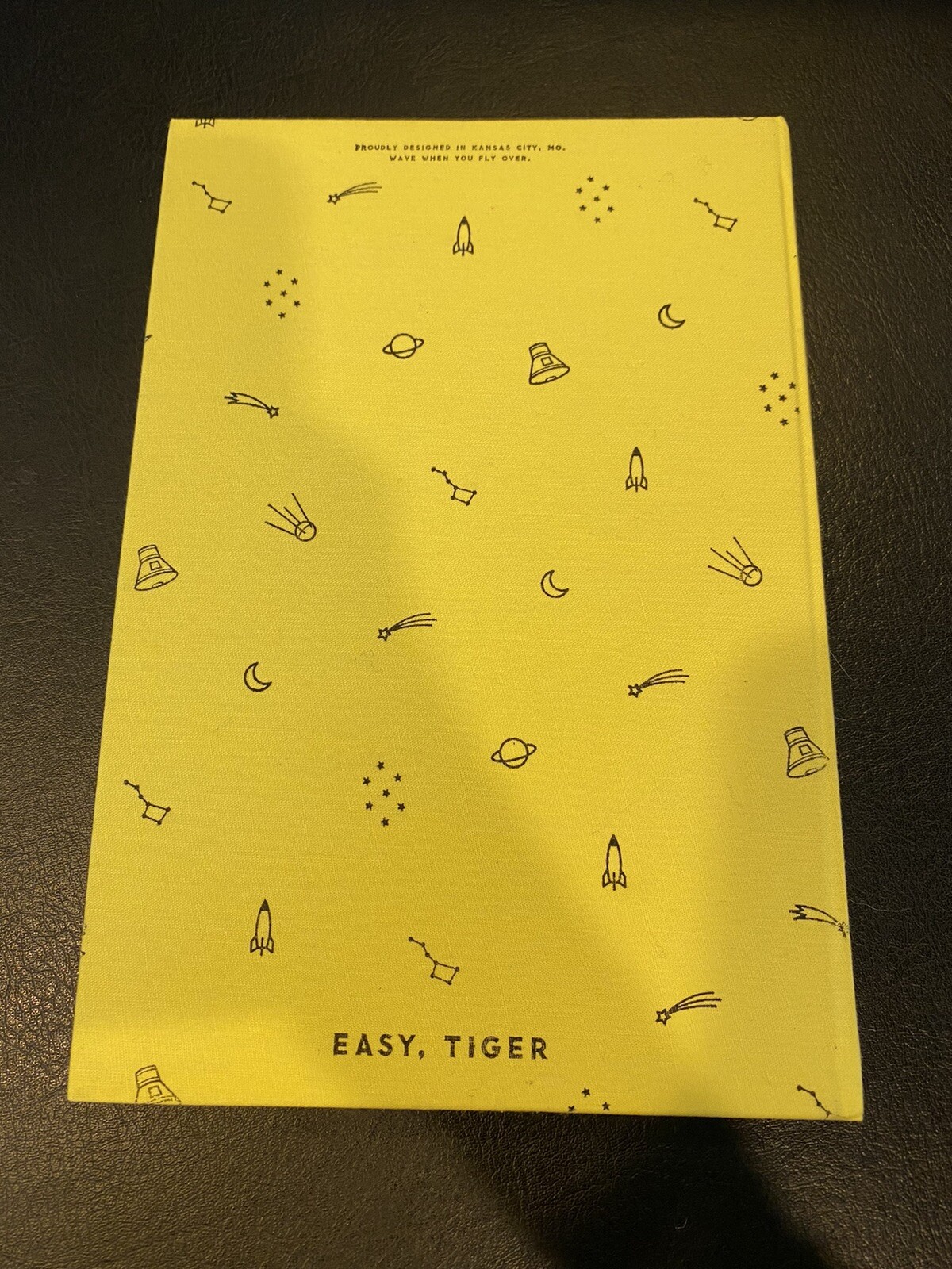 Blank Space unlined book by Easy, Tiger – Hardcover, 144 pages, Free Shipping!