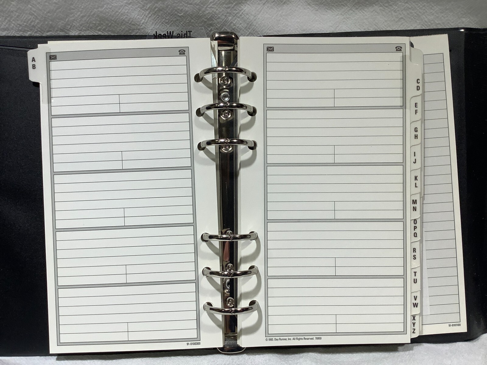 Vintage Looney Tunes Day Runner Student Planner Organizer 1996 Taz/Looney Tunes
