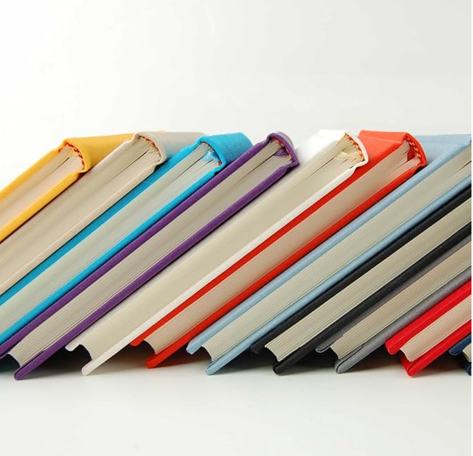 Semikolon A4 Classic Linen Cover Notebook, 8.5 X 12 Inches, 144 Lined Pages