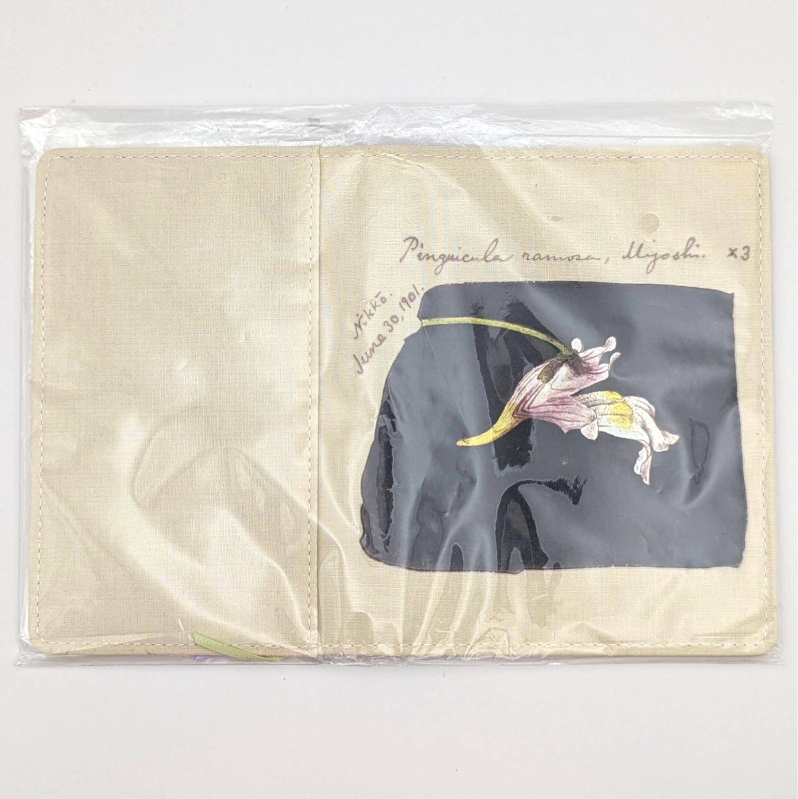 Hobonichi Techo Notebook Cover Koshinso Tomitaro Makino A6 Original 2024 New