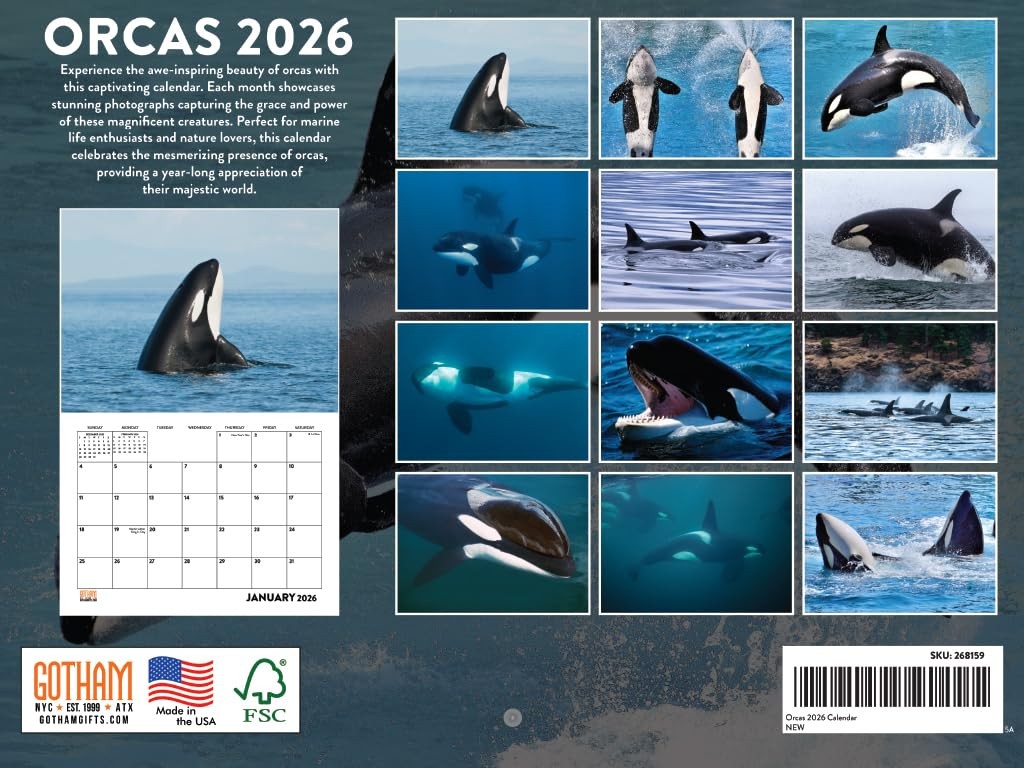 Orca Calendar 2026 Killer Whale Monthly Wall Calender 12 Month | Orcas
