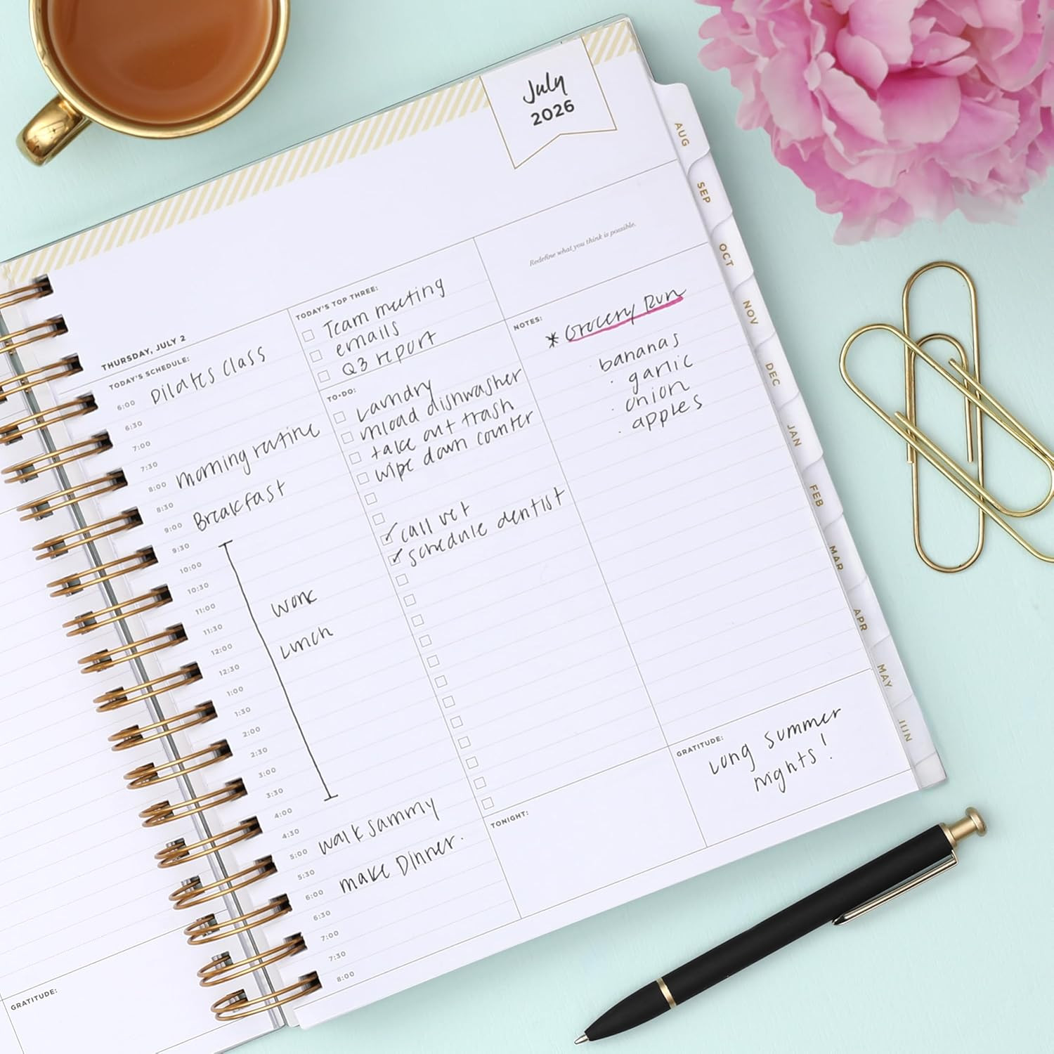 Day Designer 2026-2027 Daily and Monthly Academic Year Planner Calendar, July 20