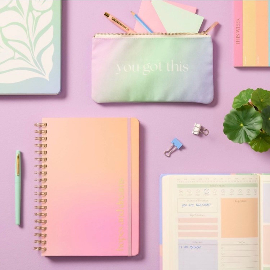 Spritz Positive Energy Guided Journal and You Got This Pouch Set Pastel Floral
