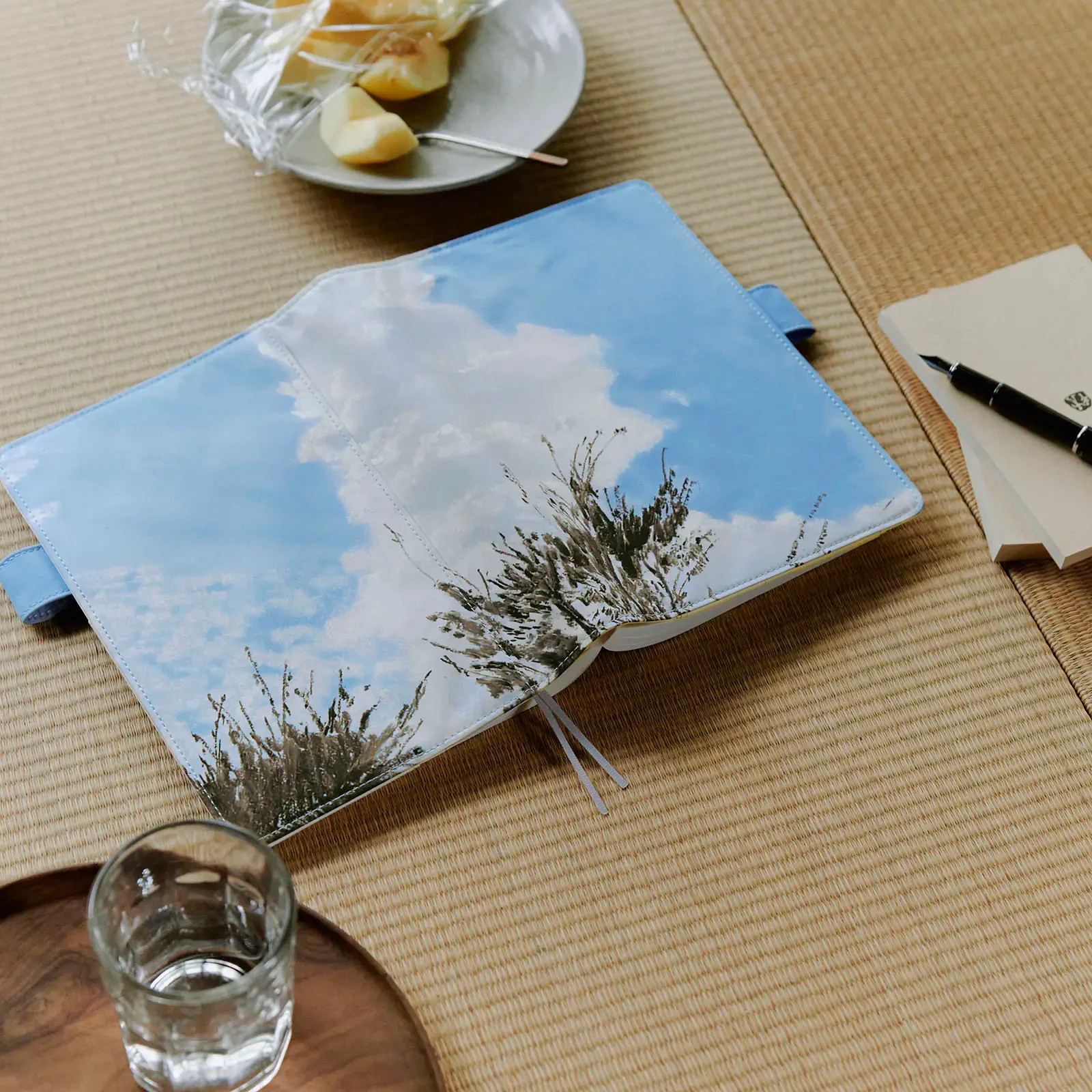 HOBONICHI TECHO 2026 Kyohei Sakaguchi Field Sky A5 Cousin Size Cover Only New