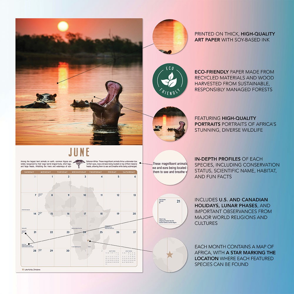 Safari Calendar 2026 | 12×24″ 12 Months | Marble City Press