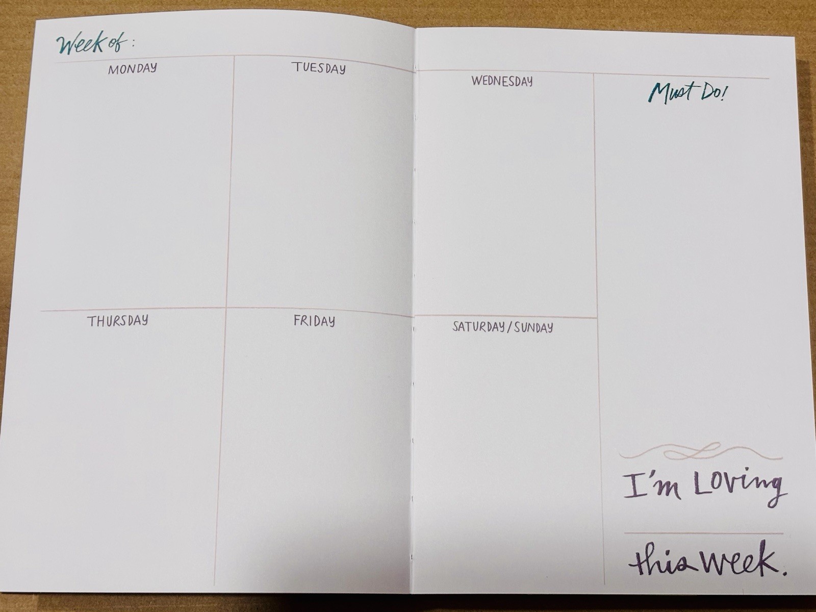 12 Month Undated Planner Today’s Going to be a FILL in the BLANKS Day Stickers