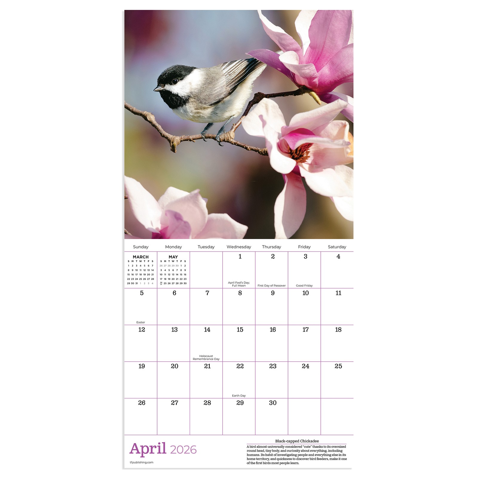 TF Publishing 2026 Backyard Birds Mini Calendar with Monthly Grids