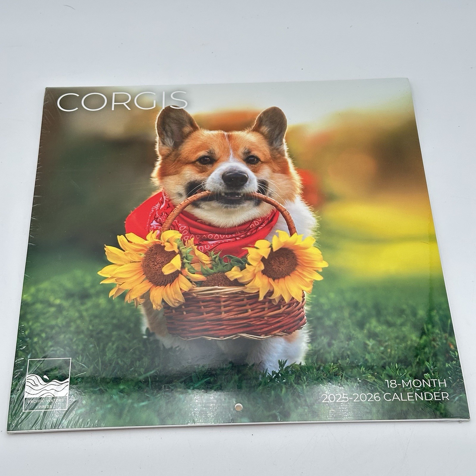 Corgi Wall Calendar 18 Month 2025-2026