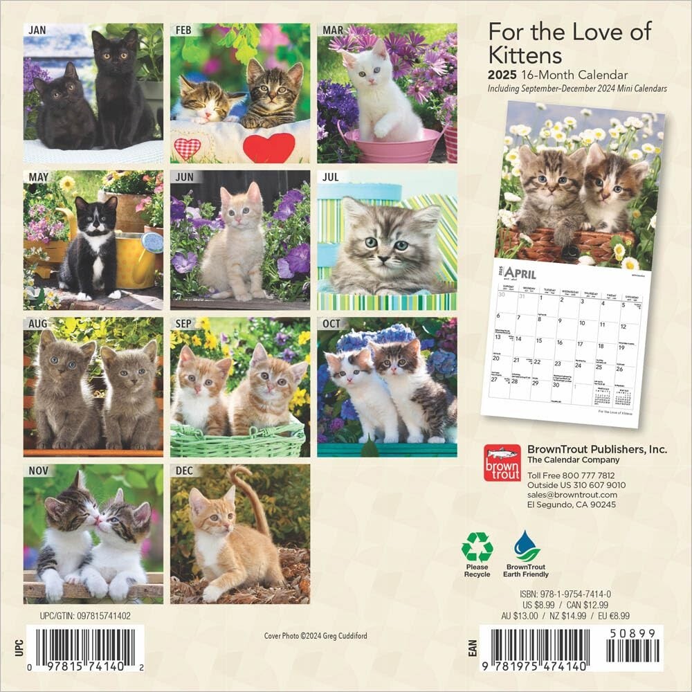 Brown Trout Love of Kittens 2025 Mini Wall Calendar 7″ x 7″ NEW SEALED