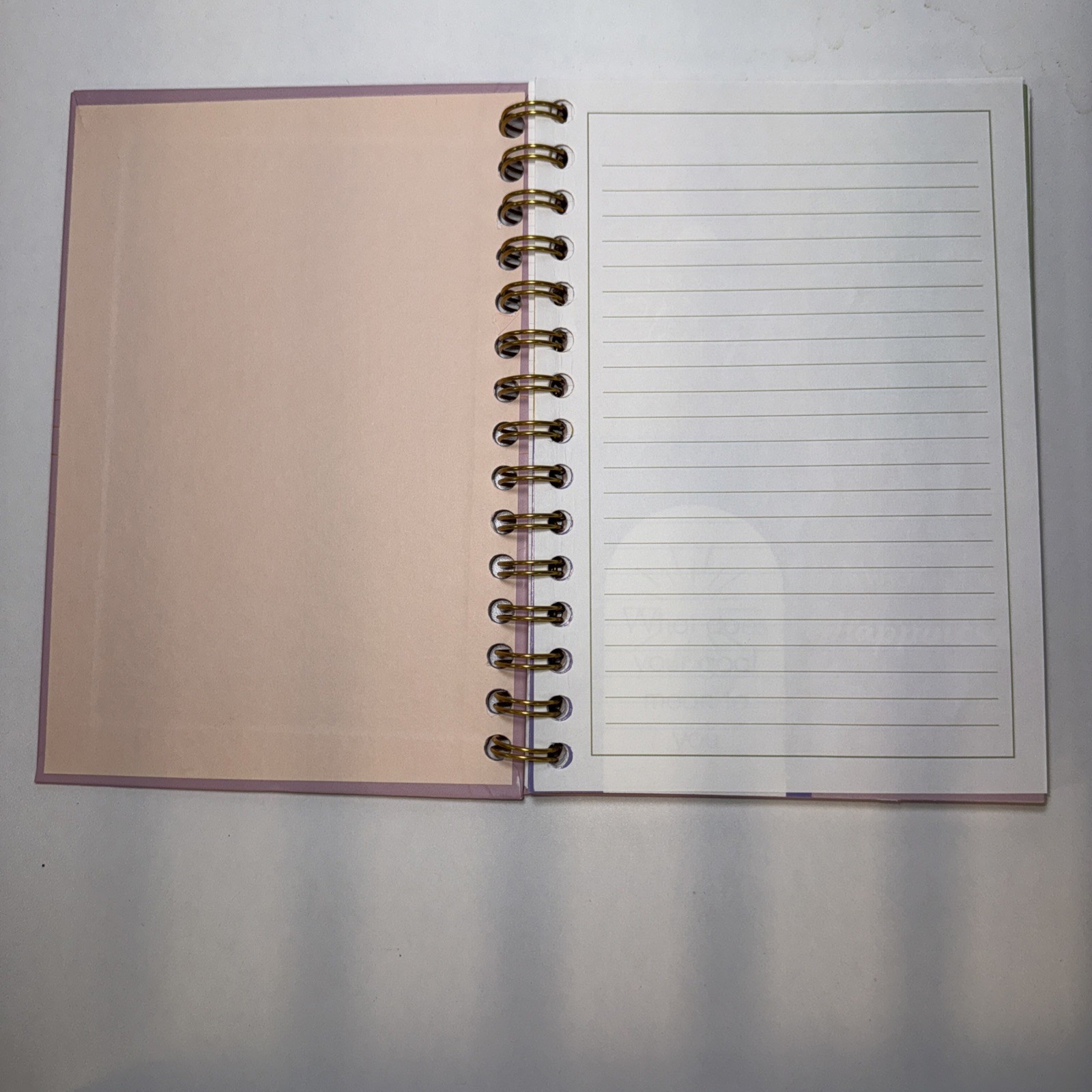 Spiral Journal 5.5in X 8in – ‘Your Future Is Bright’ – Pink