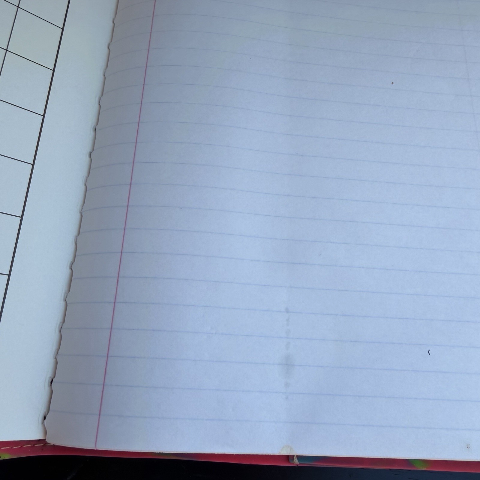 CONSUELA NOTEBOOK JUJU – Southern Melon Boutique Orange Vibrant Summer