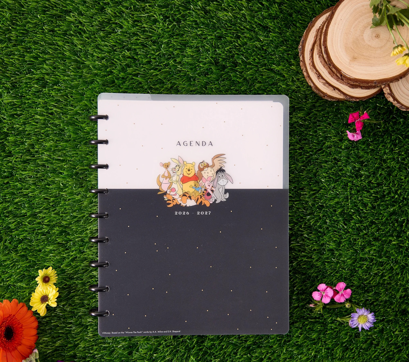 Planner Disney Pooh & Company Monthly Weekly Planner April 2026 to June 2027,