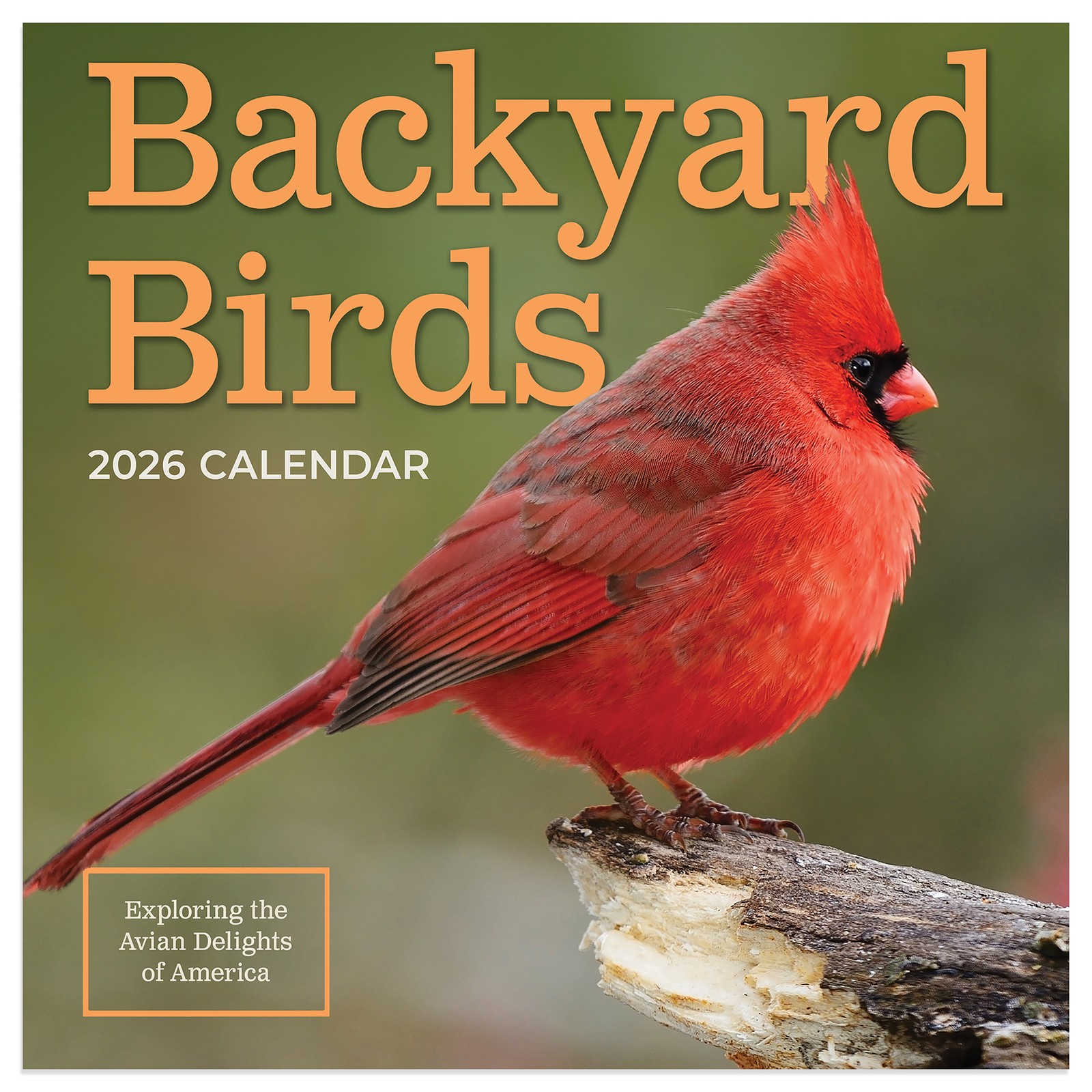 TF Publishing 2026 Backyard Birds Mini Calendar with Monthly Grids