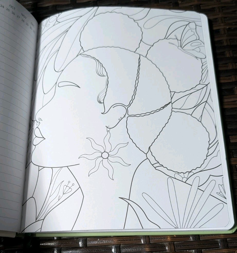 Be Rooted Mindfulness Journal W/Coloring Pages Reflect Reset Focus Black History