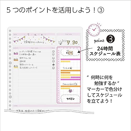 Campus Study Planner, Loose-Leaf, Daily Ruled, Girly, Set of 2