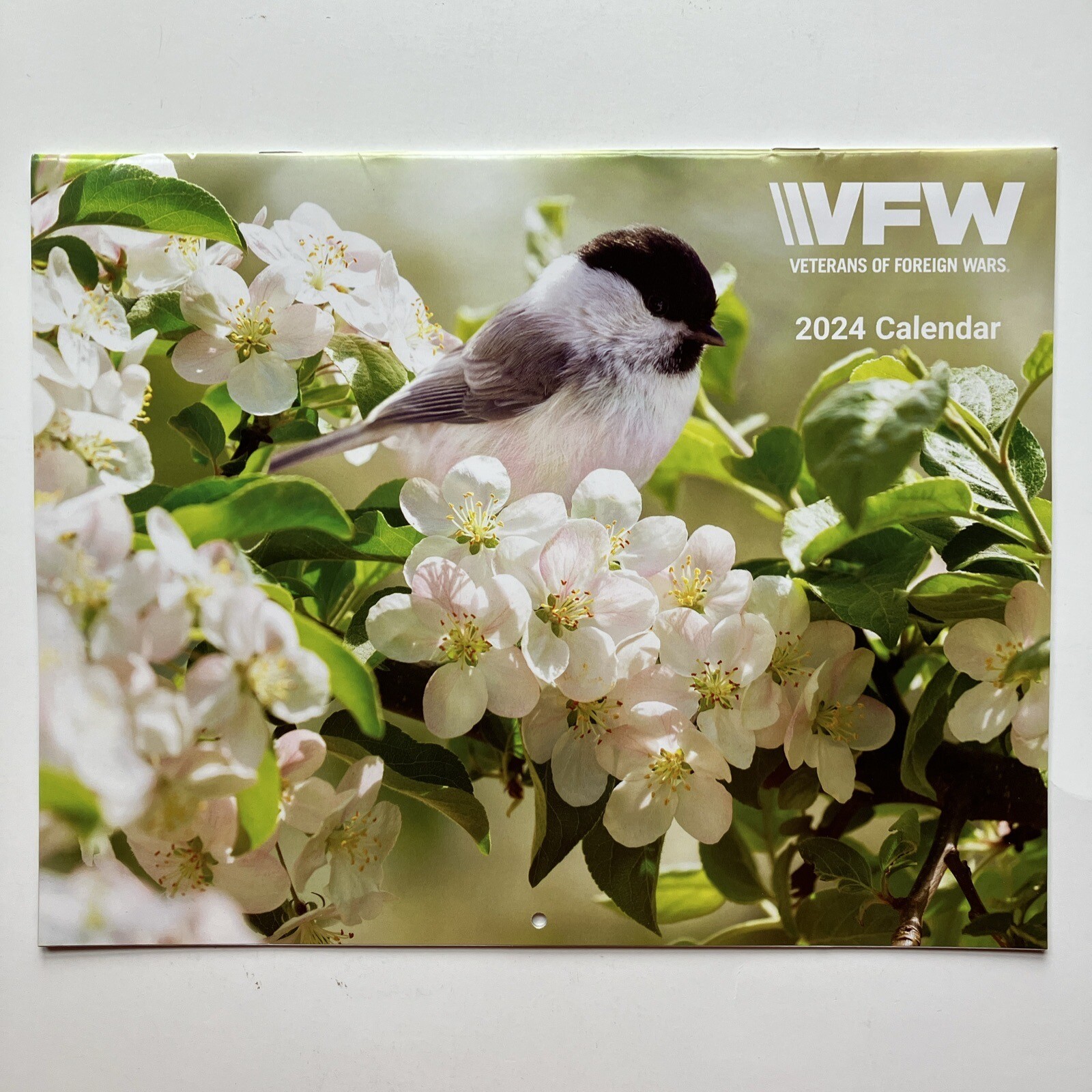 VFW Veterans of Foreign Wars Birds Nature Flowers 12 Month 2024 Wall Calendar