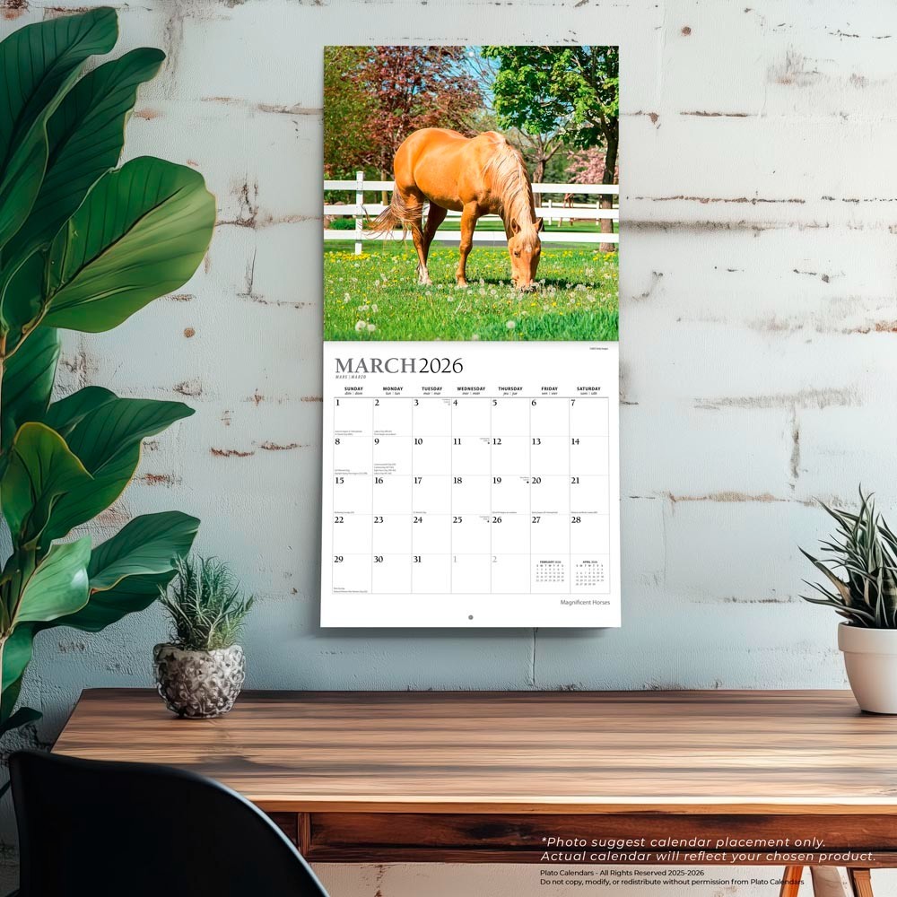 Magnificent Horses | 2026 12×24″ (Hanging) Monthly Square Wall Calendar