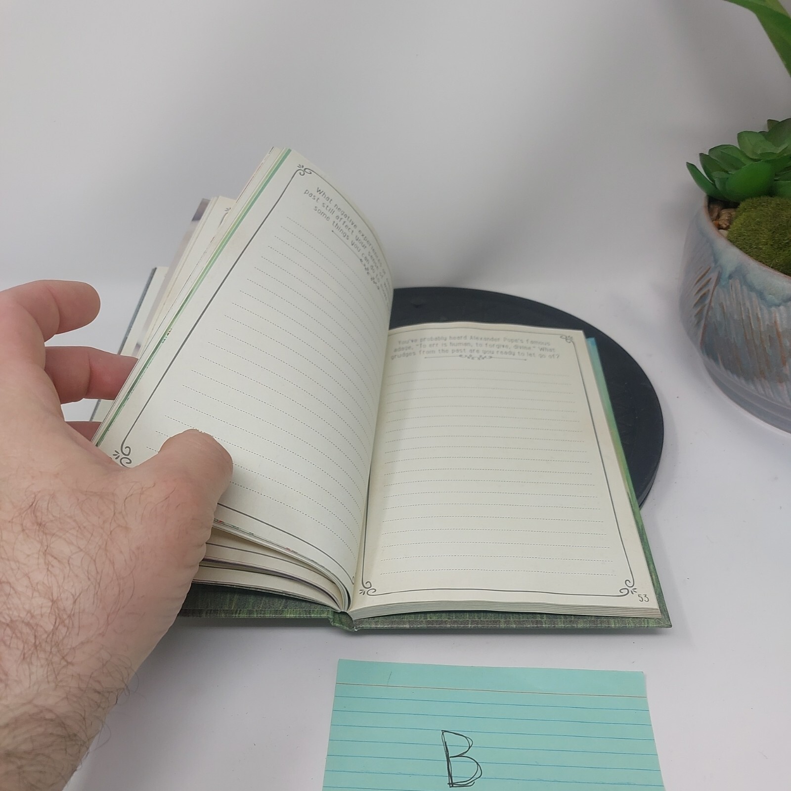 Guided Positivity Journal by 5 inches X 8 inch The Grass is Green Enough UNUSED