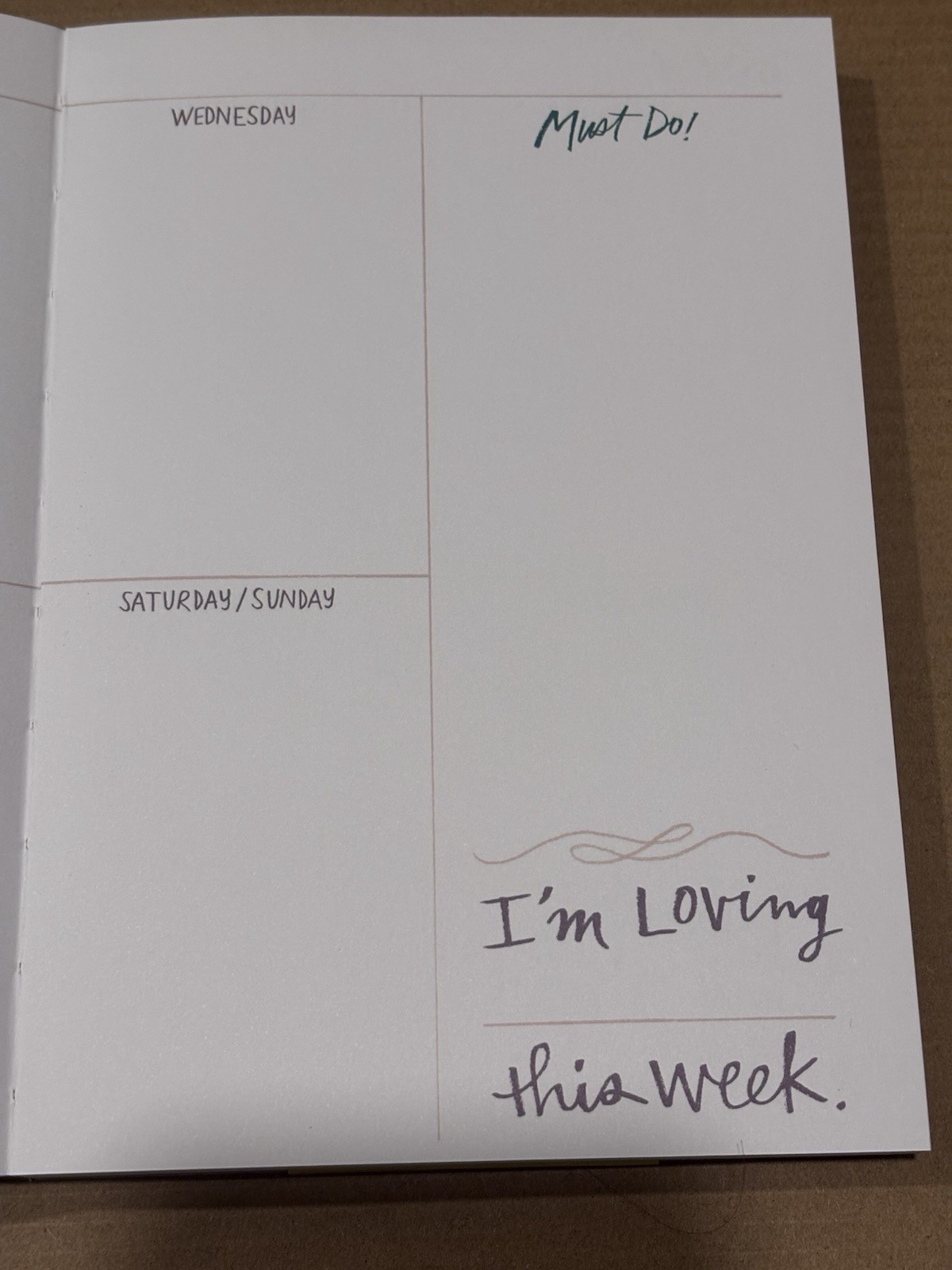 12 Month Undated Planner Today’s Going to be a FILL in the BLANKS Day Stickers