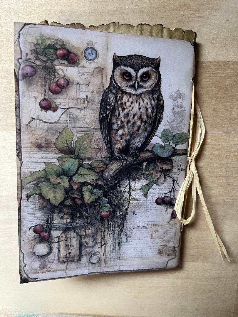 HAND MADE Mushroom / OWL Journal INC. Bag of Embellishments, Tea/Coffee Dye