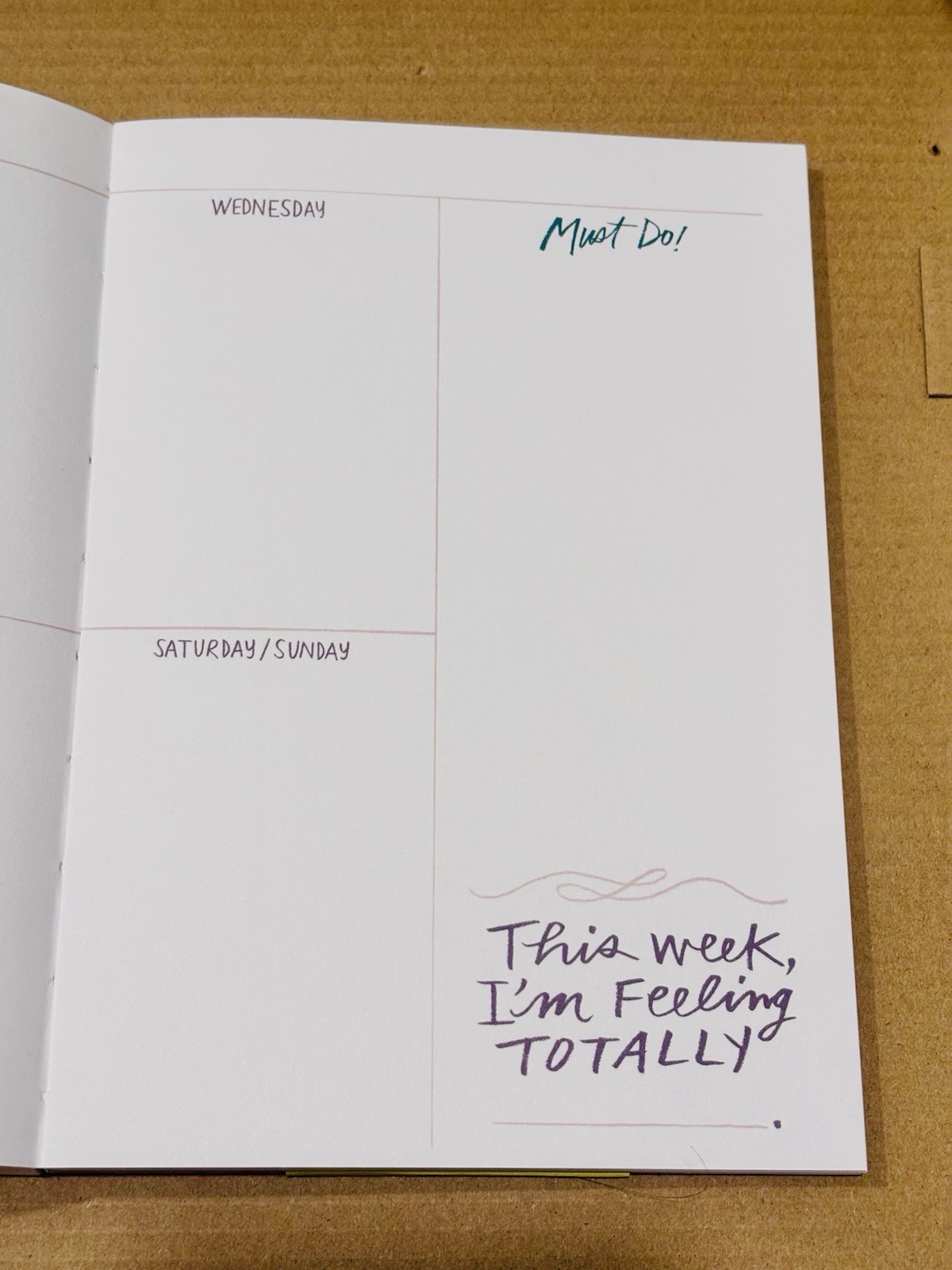 12 Month Undated Planner Today’s Going to be a FILL in the BLANKS Day Stickers