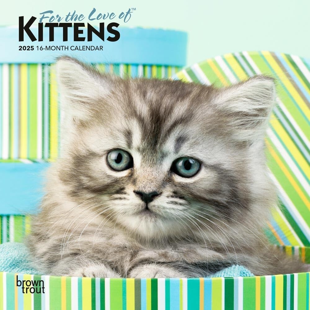 Brown Trout Love of Kittens 2025 Mini Wall Calendar 7″ x 7″ NEW SEALED