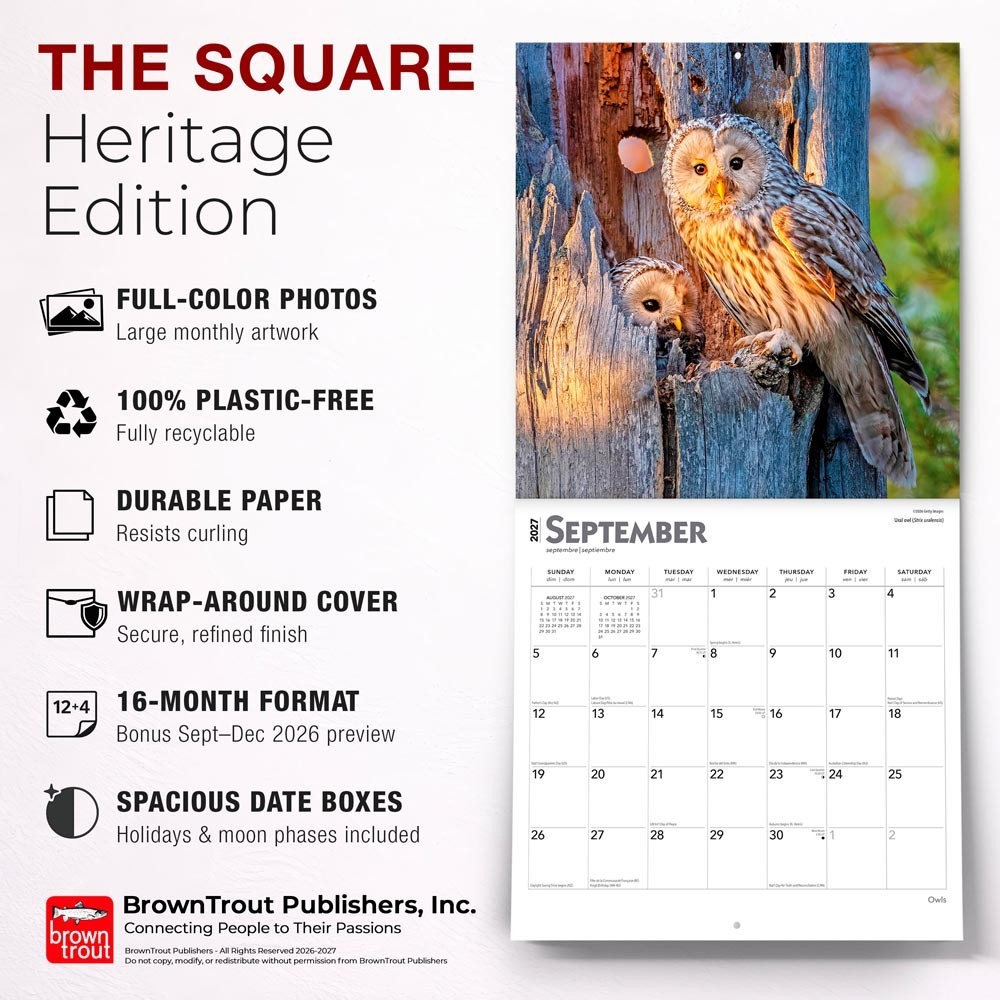 Owls | 2027 12×24″ (Hanging) Monthly Square Wall Calendar | Plastic-Free
