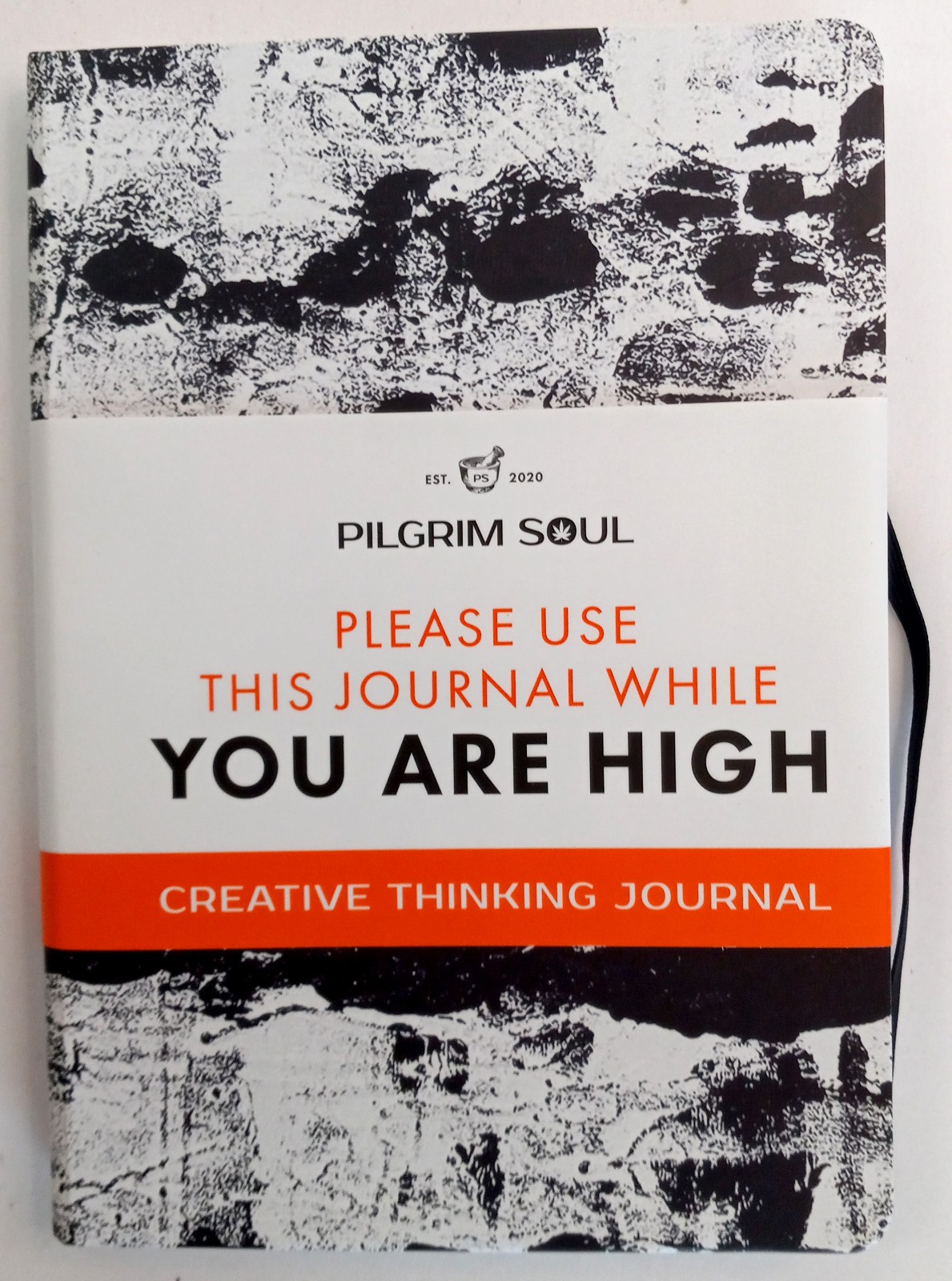 Creative Thinking Journal: Please Use this Journal While High Pilgrim Soul Blank