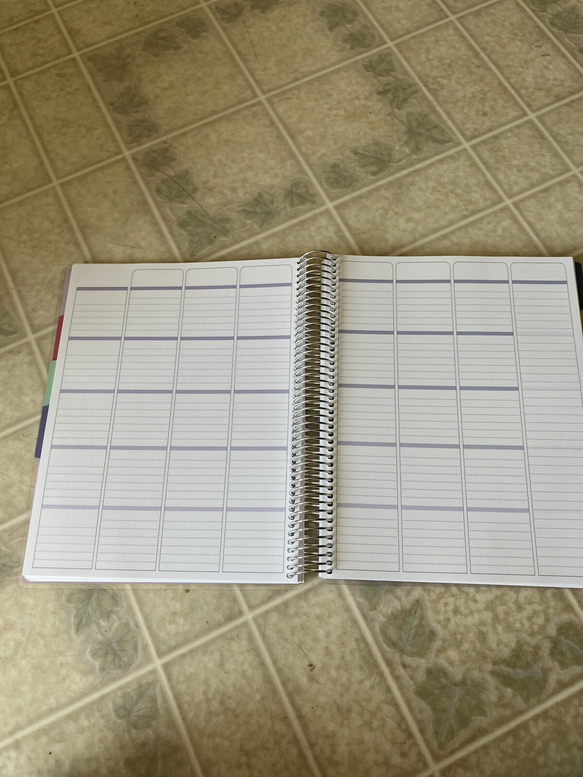 Undated Homeschool Planner 8.5″ x 11″ 12-Month Metallic Wildflower Erin Condren