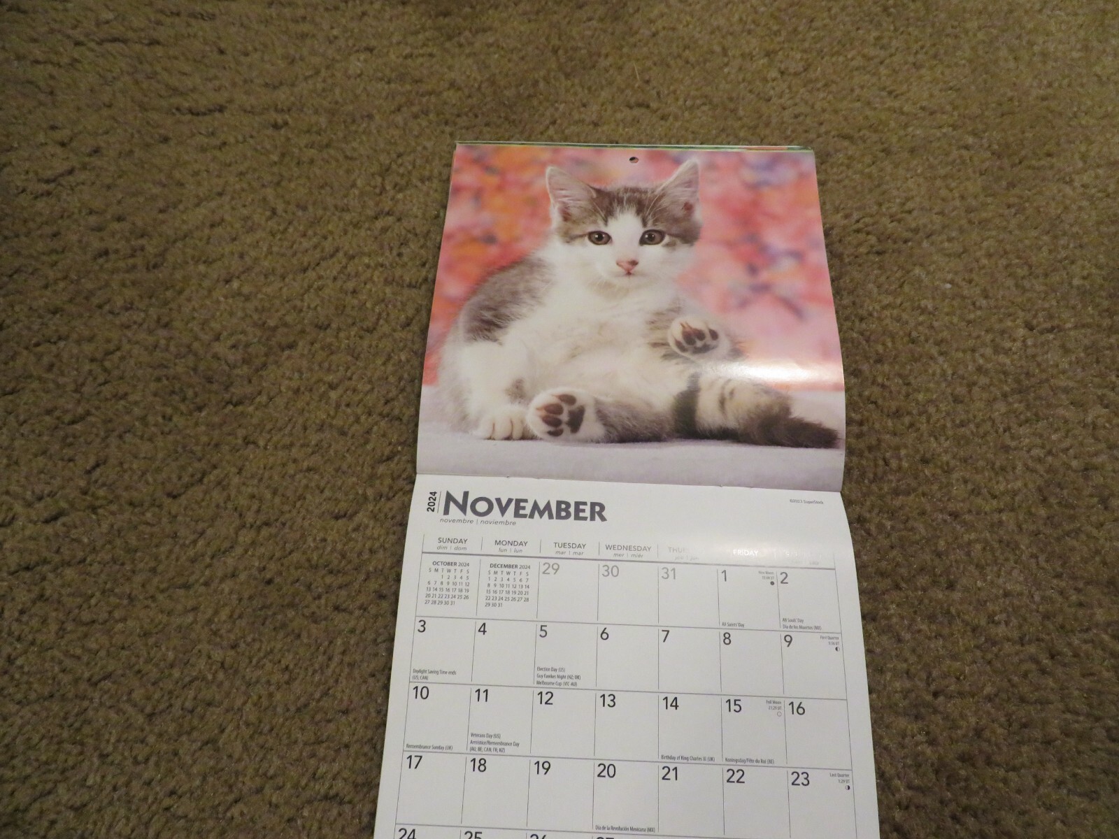 Brown Trout Love of Kittens Mini Wall Calendar 7″ x 7″ Good Cond.