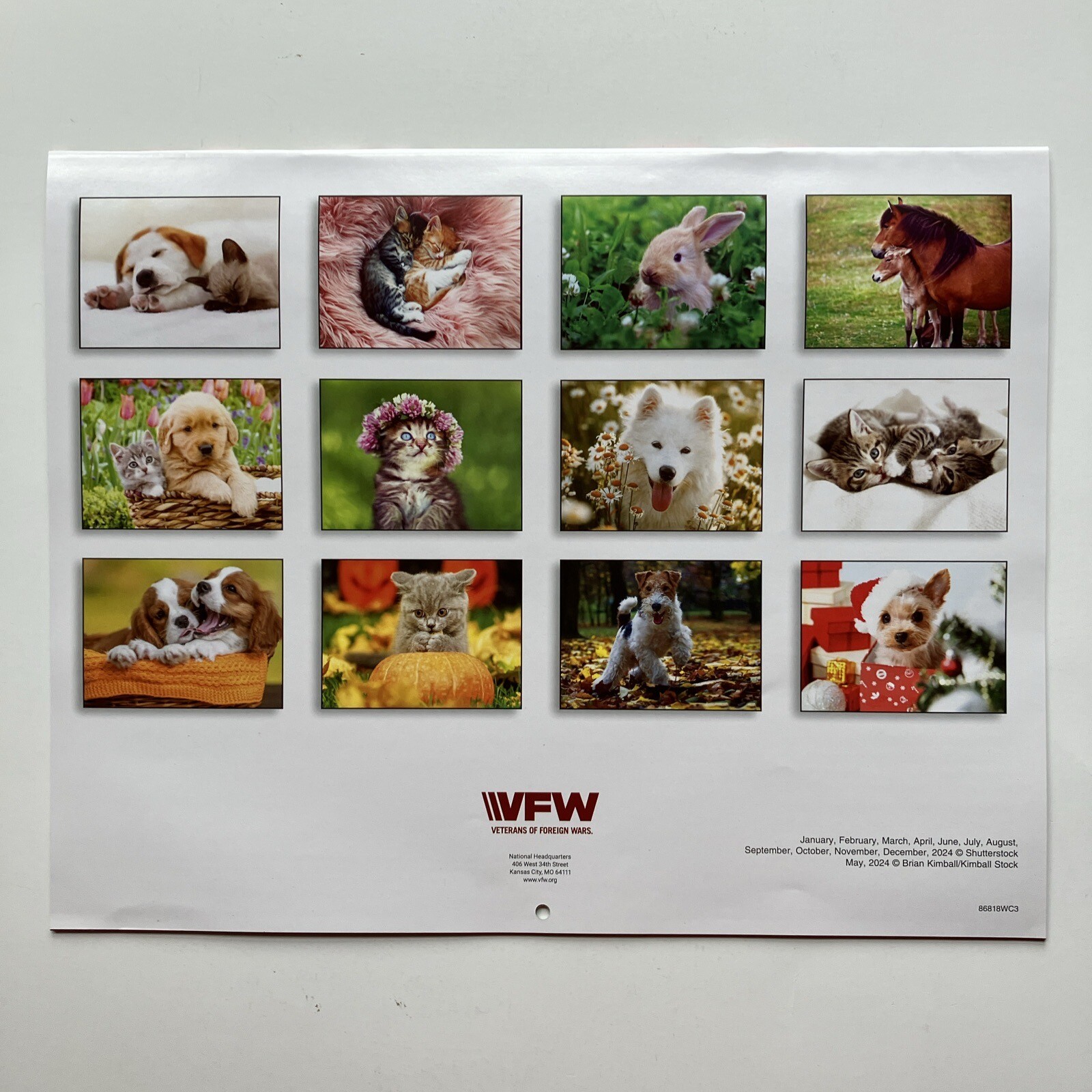 VFW Veterans of Foreign Wars Dogs Cats Animals Pets 12 Month 2024 Wall Calendar