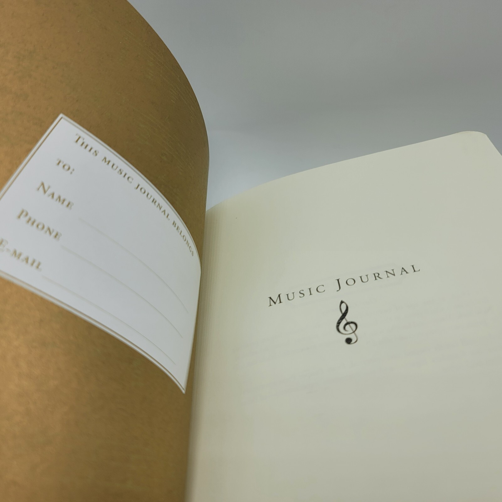 Peter Pauper Music Journal Diary Staff Treble Clef 2011 8 in Musician