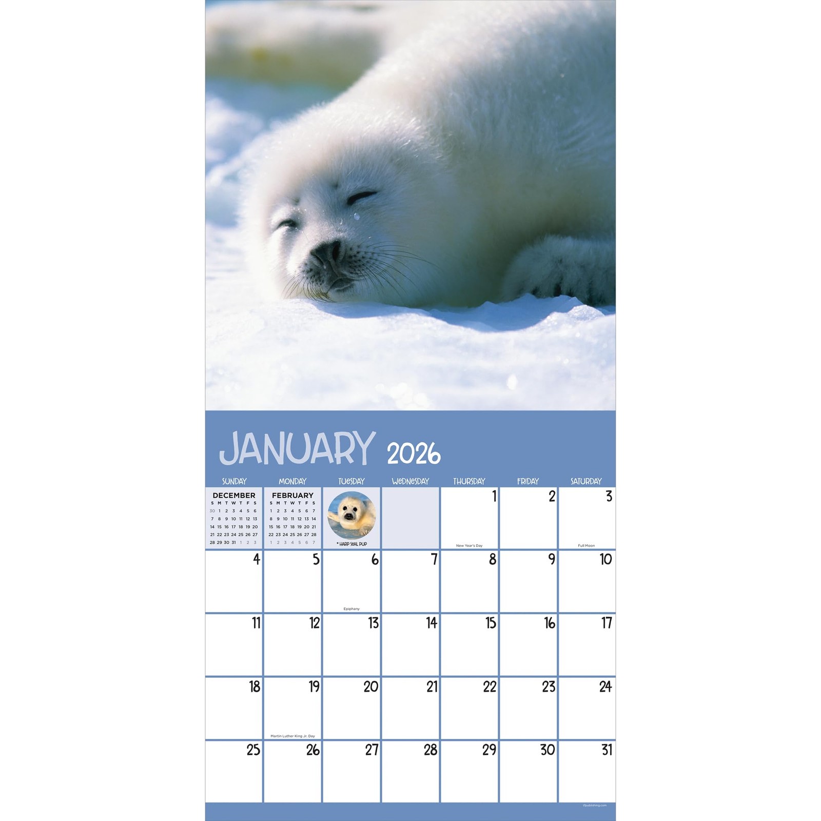 TF Publishing 2026 Baby Animals Wall Calendar – Large Grids for