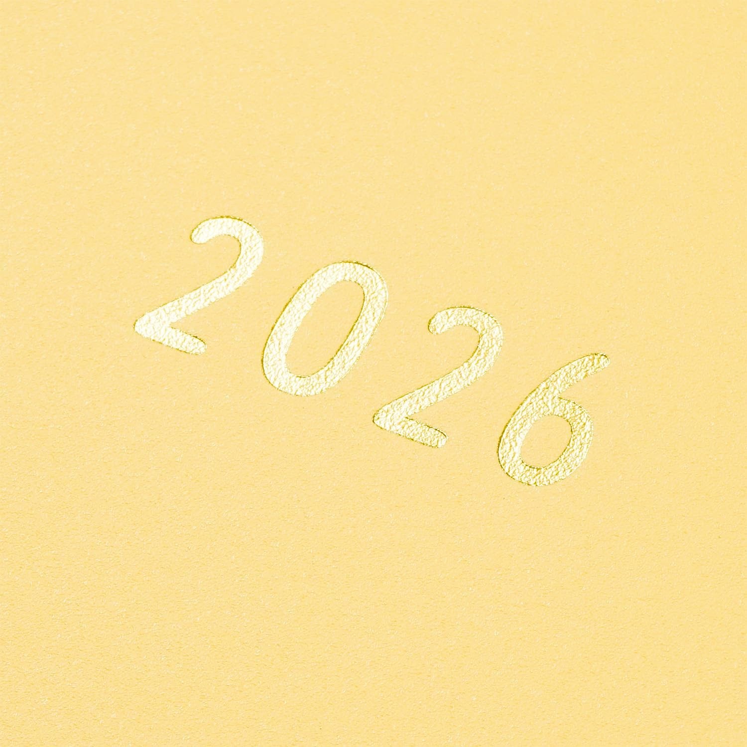Greetings Life Noritake 2026 Planner, B6 Slim, Monthly, Hard Cover, Vanilla, CD-