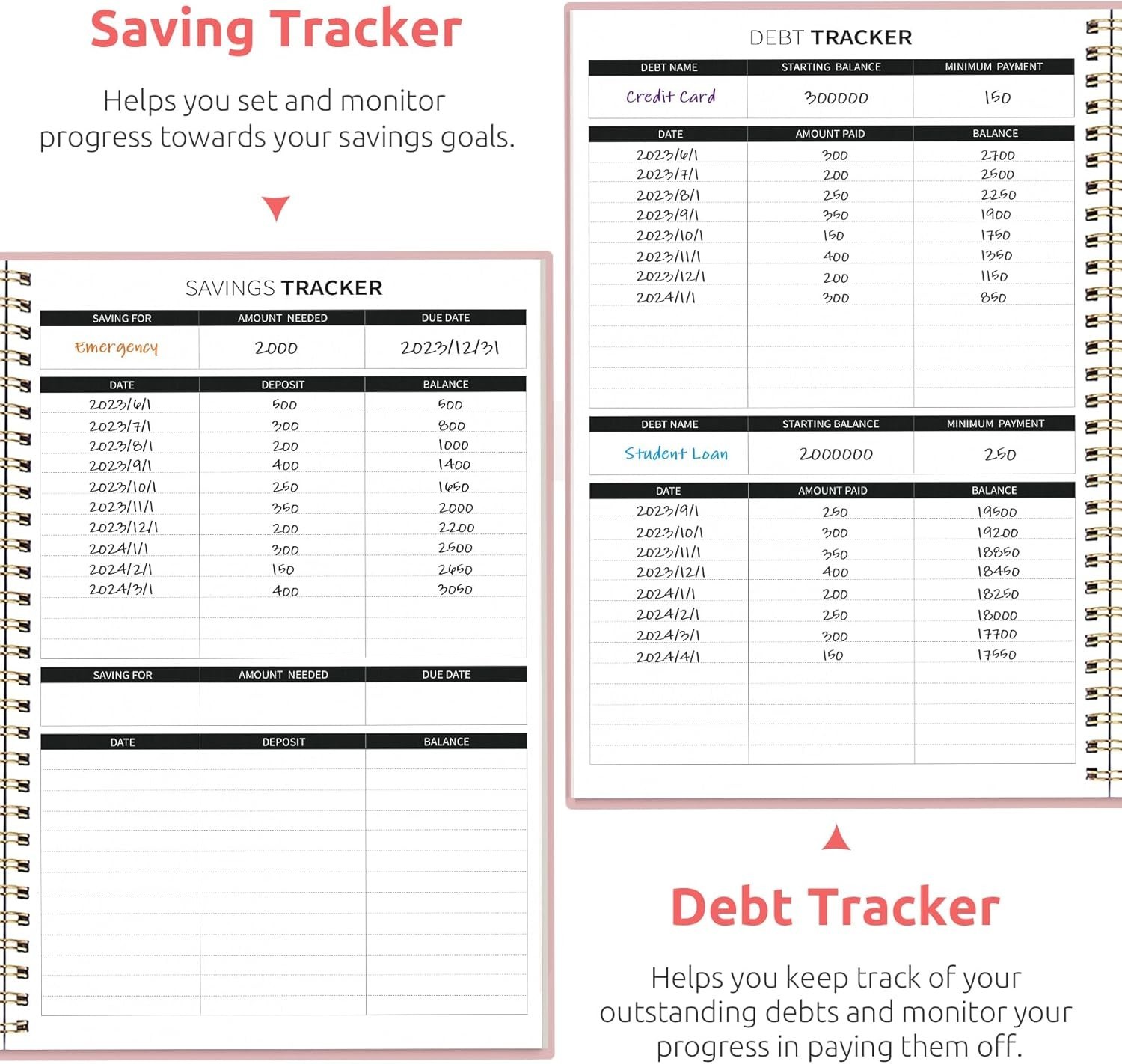 Budget Planner – Monthly Budget Book with Expense Tracker Notebook, Undated B…